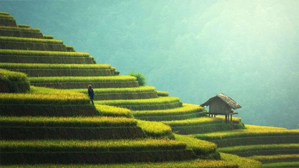 100+ ảnh cảnh thiên nhiên đẹp mê hoặc · ảnh 2