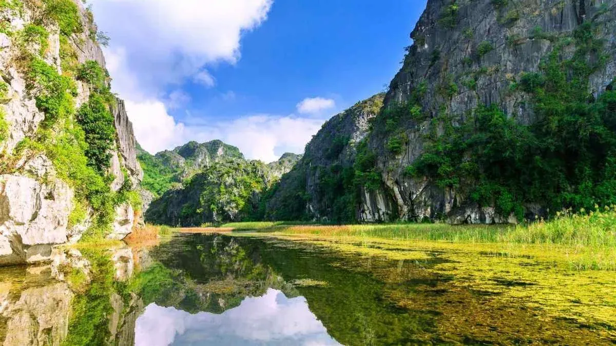 100+ ảnh cảnh thiên nhiên đẹp mê hoặc