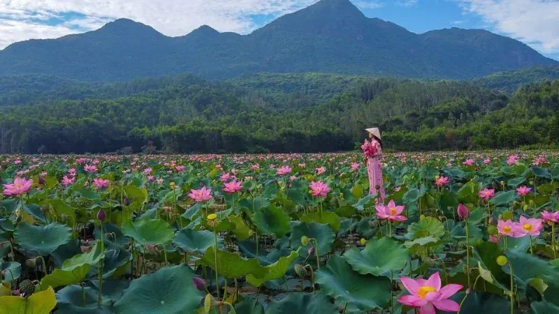 100+ hình ảnh làng quê yên bình đẹp nhất hoài niệm · ảnh 2