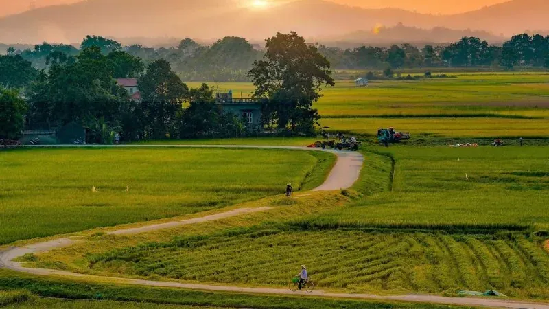 100+ hình ảnh làng quê yên bình đẹp nhất hoài niệm