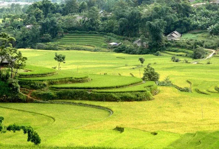 50 hình nền đẹp: Tuyển tập bộ ảnh nền thiết bị tuyệt vời nhất · ảnh 1